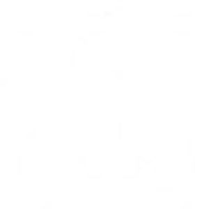 Meet your Posher, Alexis l.